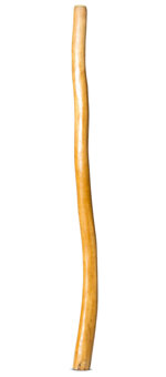 Natural Finish Didgeridoo (TW1503)